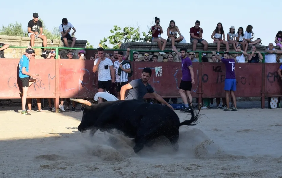 Foto 5 - Los j&oacute;venes se lo pasan en grande en la animada tarde taurina de Villar de Ciervo  