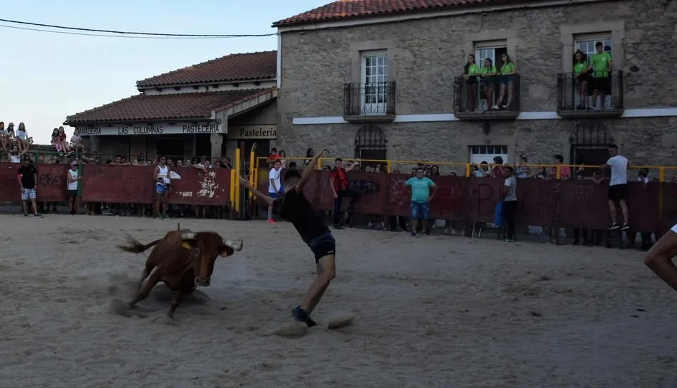 Foto 2 - Los j&oacute;venes se lo pasan en grande en la animada tarde taurina de Villar de Ciervo  