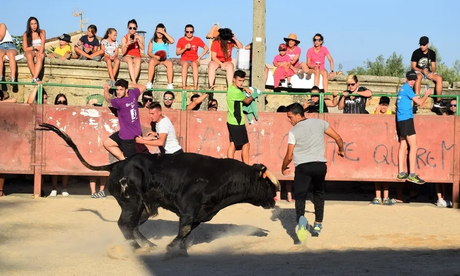 Foto 4 - Los j&oacute;venes se lo pasan en grande en la animada tarde taurina de Villar de Ciervo  