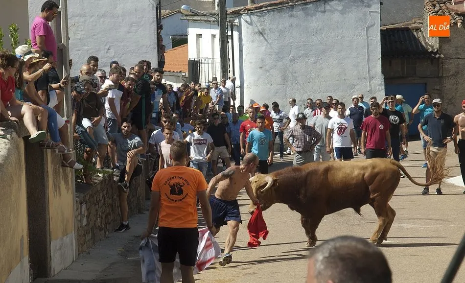 Foto 11 - Villar de Ciervo vive un largo y peligroso encierro a caballo  