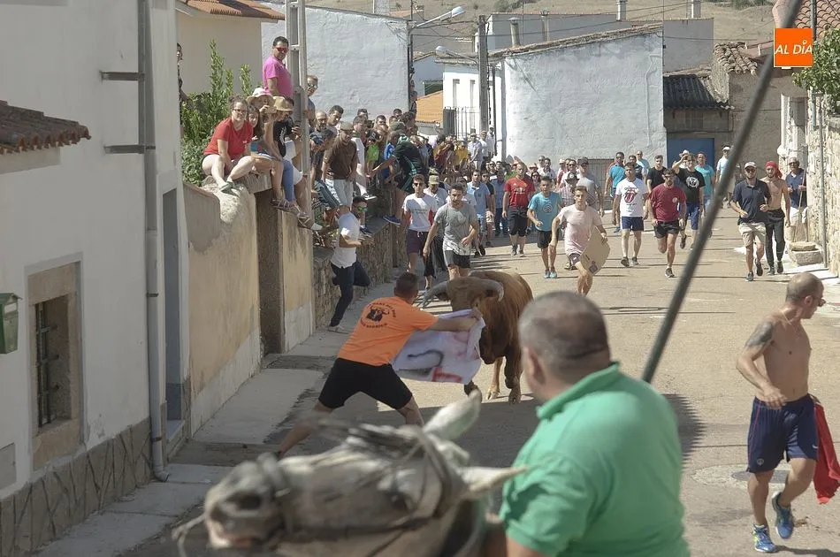 Foto 10 - Villar de Ciervo vive un largo y peligroso encierro a caballo  