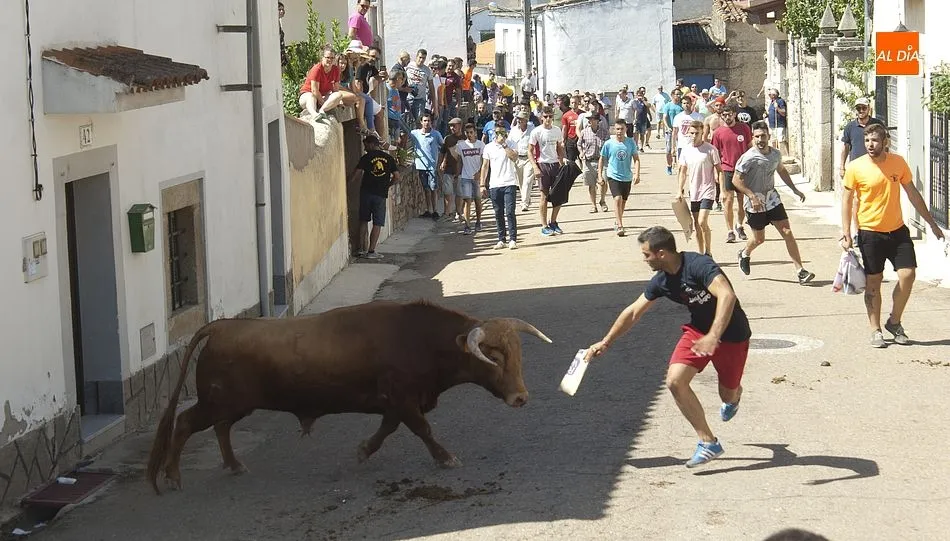 Foto 8 - Villar de Ciervo vive un largo y peligroso encierro a caballo  