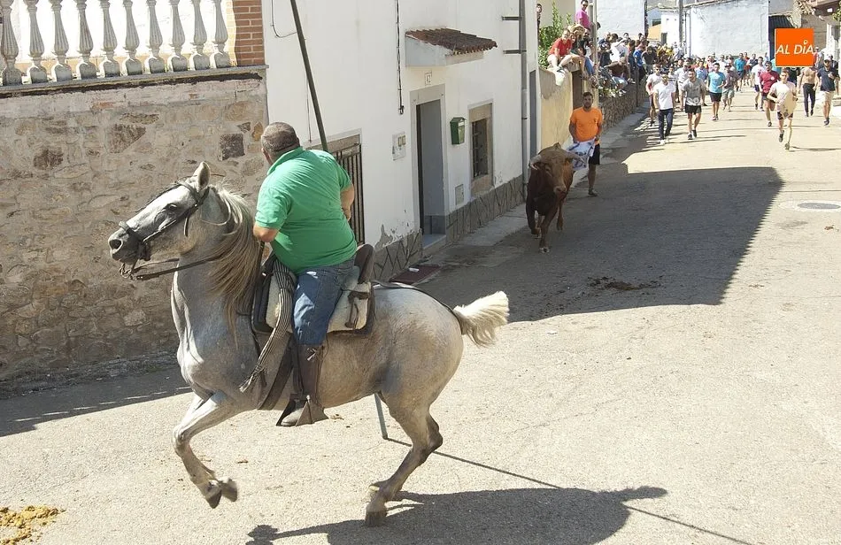 Foto 9 - Villar de Ciervo vive un largo y peligroso encierro a caballo  