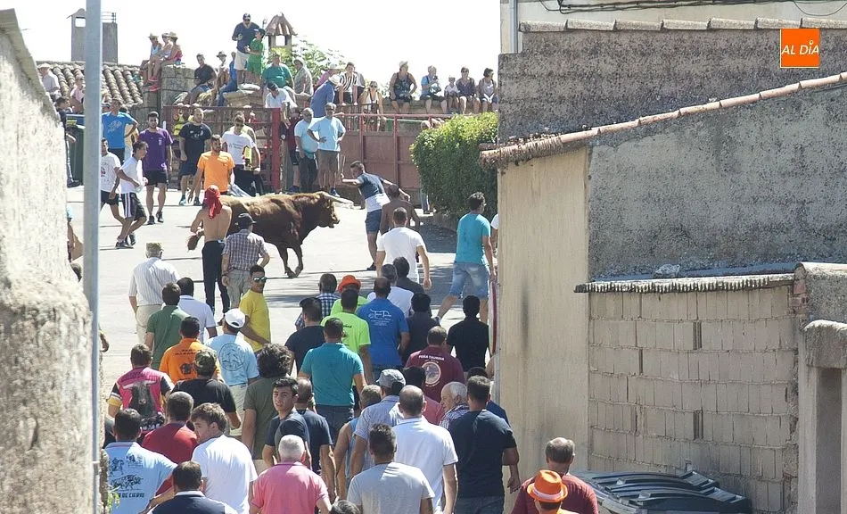 Foto 5 - Villar de Ciervo vive un largo y peligroso encierro a caballo  