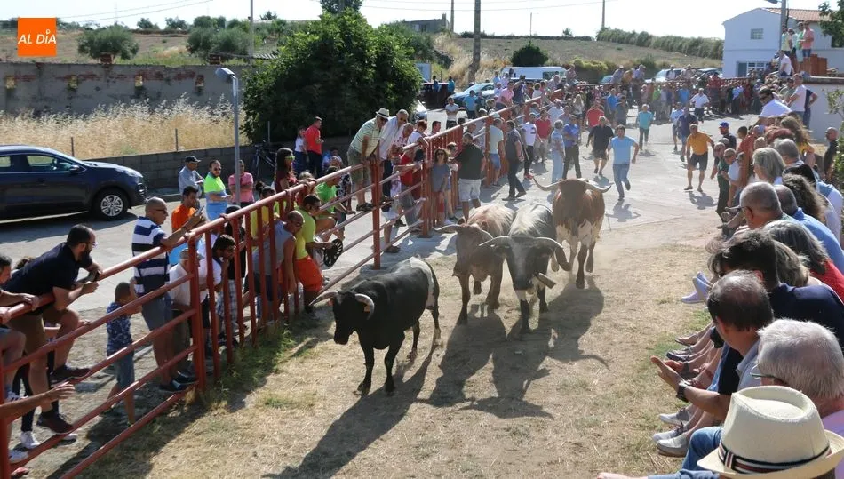 Foto 2 - &ldquo;La &uacute;nica manera de transformar la comarca es empezar a pensar en qu&eacute; zonas son potencialmente...