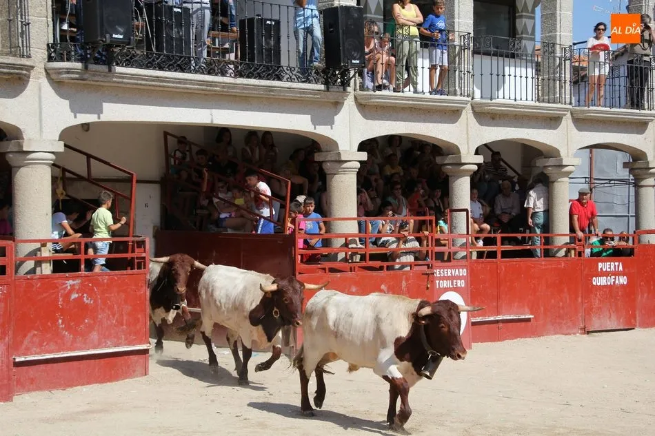 Foto 10 - La plasticidad del encierro a caballo de Villavieja de Yeltes queda en la retina de miles de...