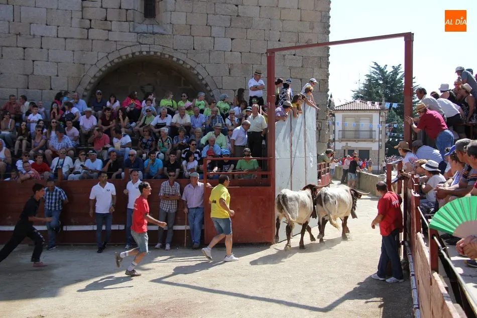 Foto 8 - La plasticidad del encierro a caballo de Villavieja de Yeltes queda en la retina de miles de...