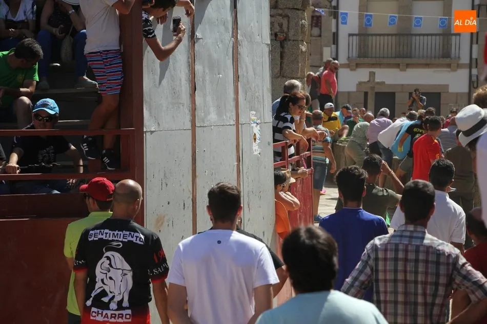 La plasticidad del encierro a caballo de Villavieja de Yeltes queda en la retina de miles de...