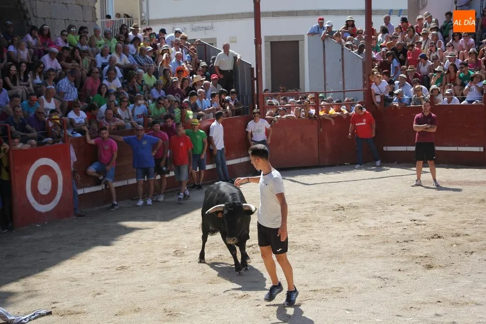 Foto 9 - La plasticidad del encierro a caballo de Villavieja de Yeltes queda en la retina de miles de...
