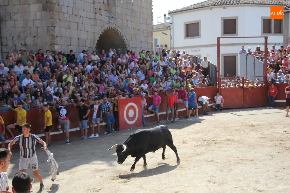 Foto 7 - La plasticidad del encierro a caballo de Villavieja de Yeltes queda en la retina de miles de...