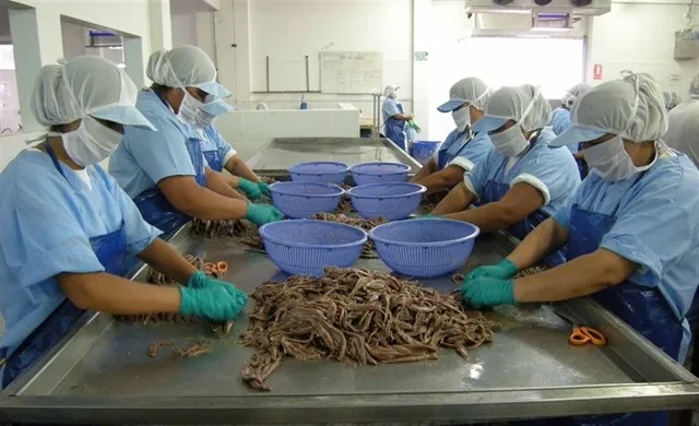 No se ha detectado ninguna anomalía en el tratamiento de conservas en Frinsa / Europa Press