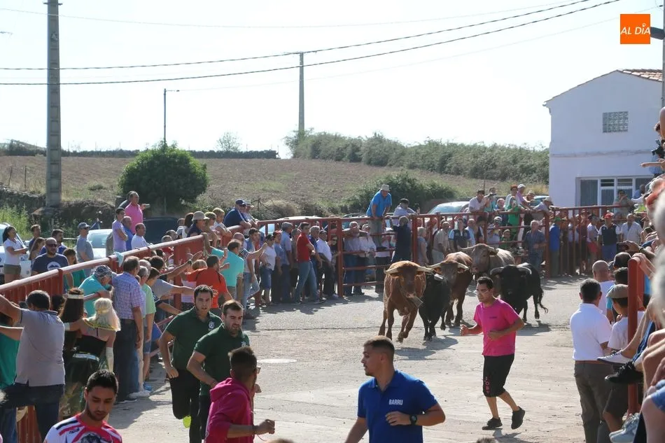 Foto 5 - Vibrante primer encierro de Valrubio en Pere&ntilde;a de la Ribera con un 3x2  