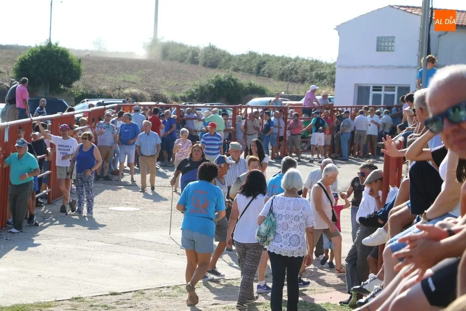 Foto 3 - Vibrante primer encierro de Valrubio en Pere&ntilde;a de la Ribera con un 3x2  