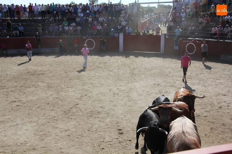 Foto 11 - Vibrante primer encierro de Valrubio en Pere&ntilde;a de la Ribera con un 3x2  