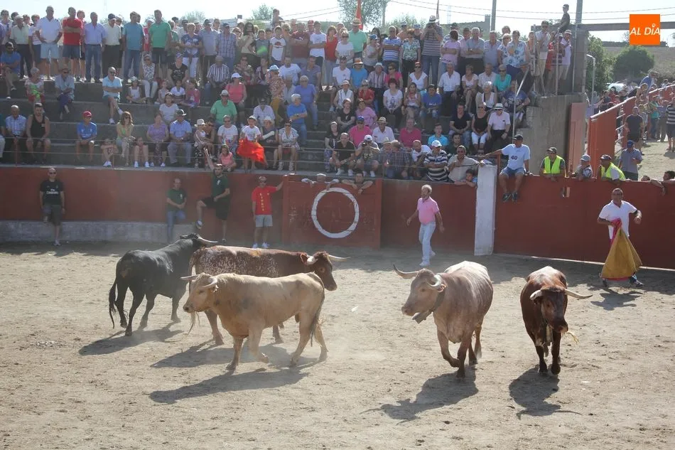 Foto 6 - Vibrante primer encierro de Valrubio en Pere&ntilde;a de la Ribera con un 3x2  