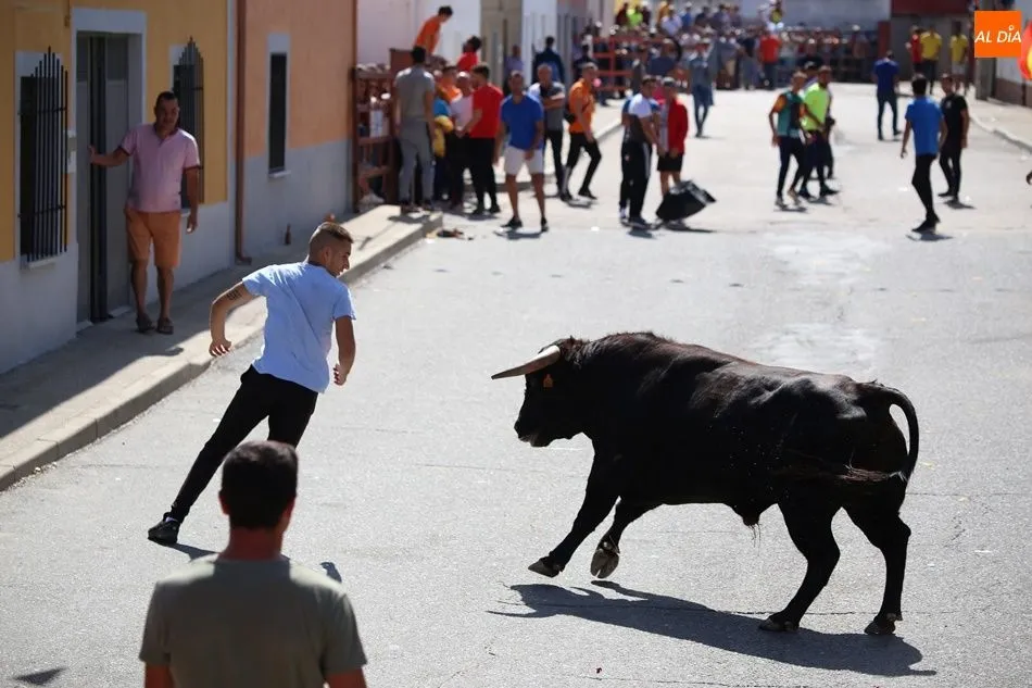 Foto 11 - Villoria disfruta del segundo encierro urbano de sus fiestas