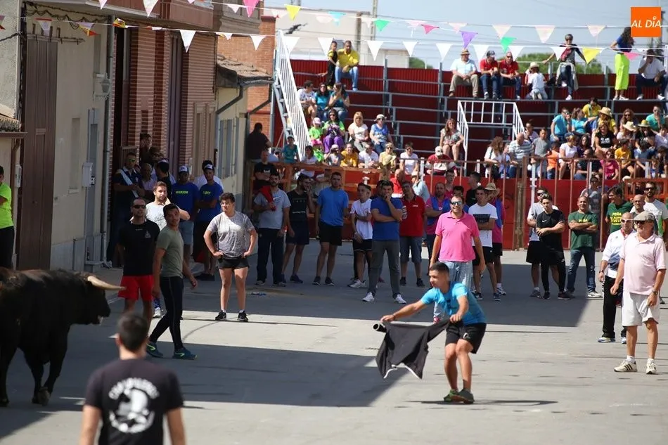 Foto 10 - Villoria disfruta del segundo encierro urbano de sus fiestas
