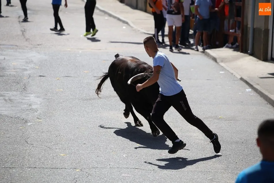 Foto 9 - Villoria disfruta del segundo encierro urbano de sus fiestas