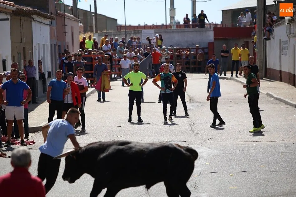 Foto 8 - Villoria disfruta del segundo encierro urbano de sus fiestas