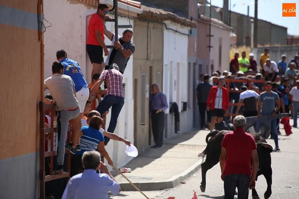 Foto 6 - Villoria disfruta del segundo encierro urbano de sus fiestas