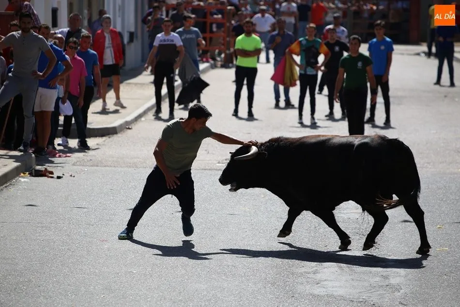 Foto 5 - Villoria disfruta del segundo encierro urbano de sus fiestas