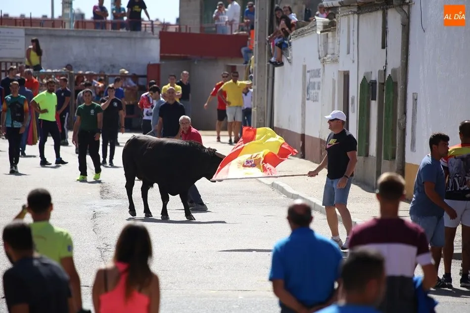 Foto 4 - Villoria disfruta del segundo encierro urbano de sus fiestas