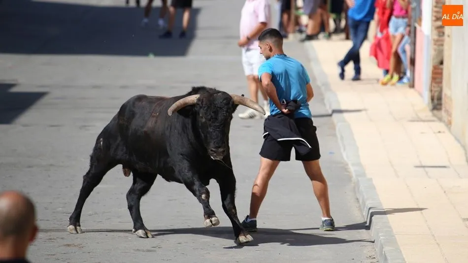 Quiebro de un mozo al novillo | Víctor Sánchez