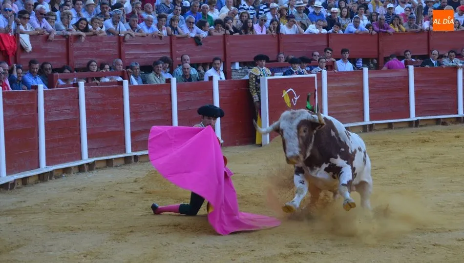 Corrida de toros de la Virgen del Castañar / FOTOS ANA VICENTE