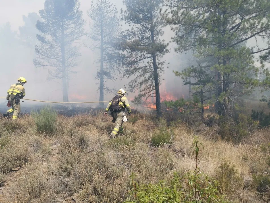 Foto 2 - Controlado un peligroso incendio forestal en La Alberca