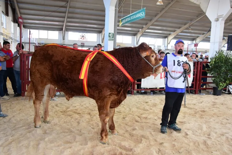 Foto 8 - Buena representaci&oacute;n de la comarca de Vitigudino en Salamaq&rsquo;19  