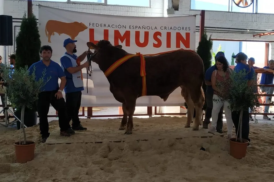 Foto 7 - Buena representaci&oacute;n de la comarca de Vitigudino en Salamaq&rsquo;19  