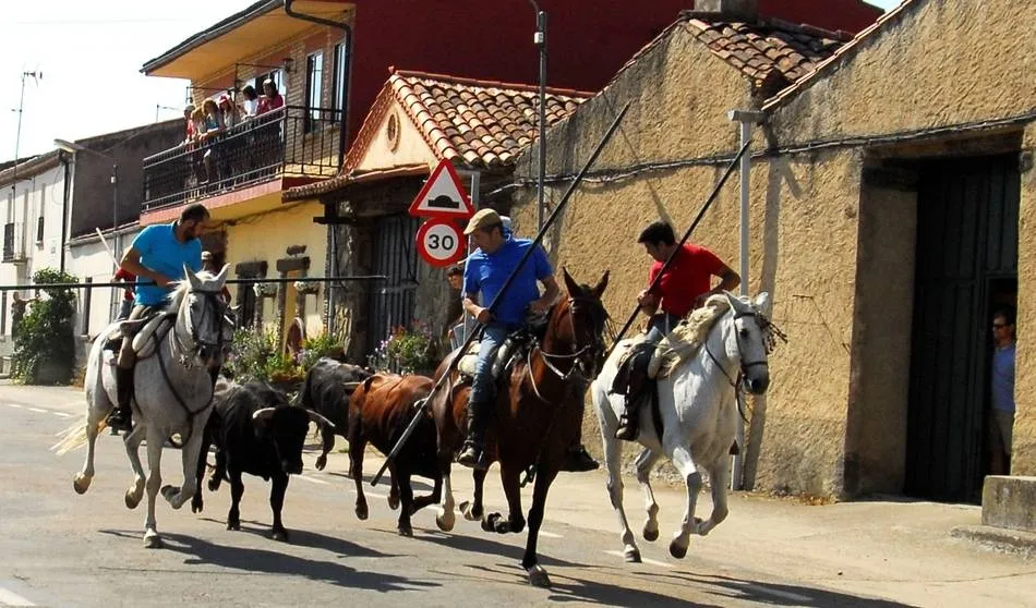 Un Toro del Cajón y la suelta nocturna de una vaquilla, estrenos en las fiestas de Martiago  