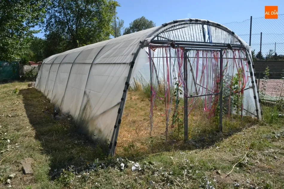 El invernadero del Colegio El Puente, que estrena plástico protector