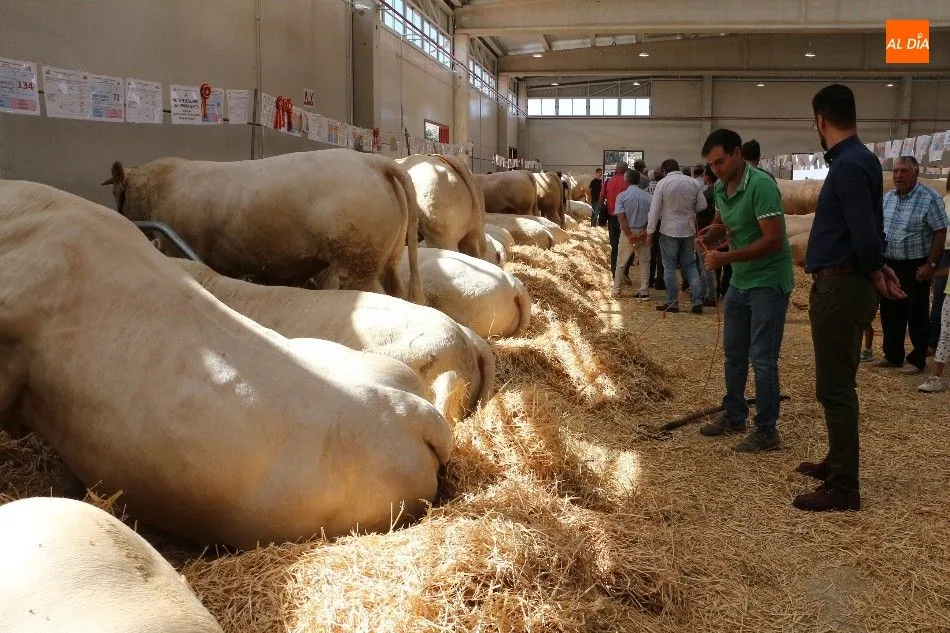 Foto 6 - El p&uacute;blico se despide de Salamaq tras cinco intensas jornadas&nbsp;