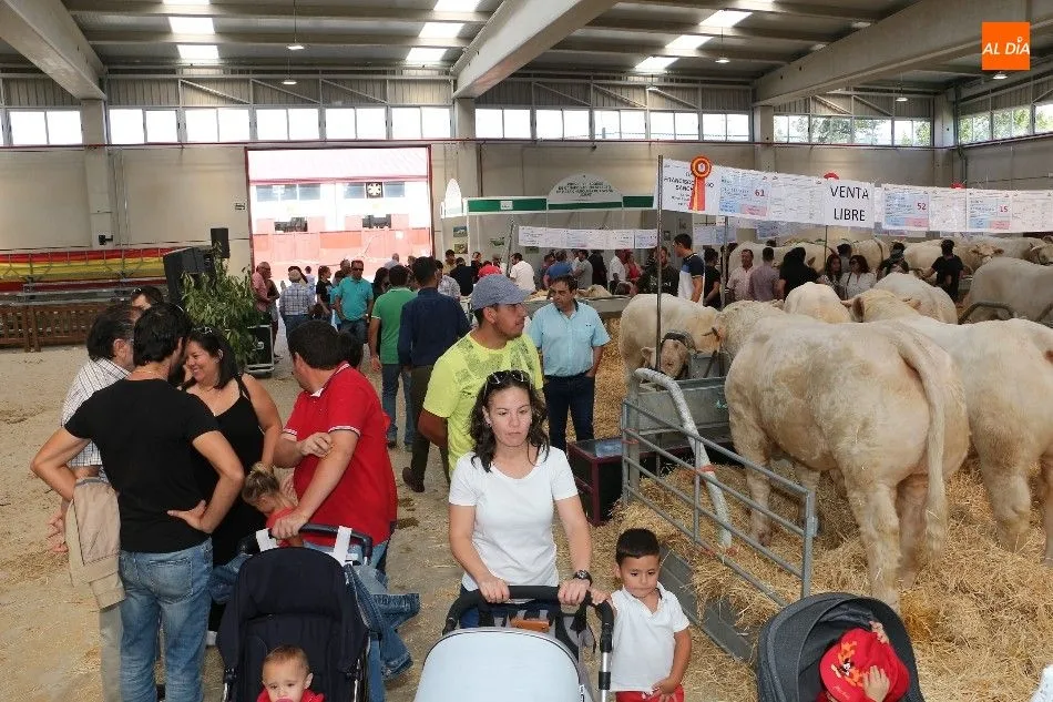 Foto 2 - El p&uacute;blico se despide de Salamaq tras cinco intensas jornadas&nbsp;