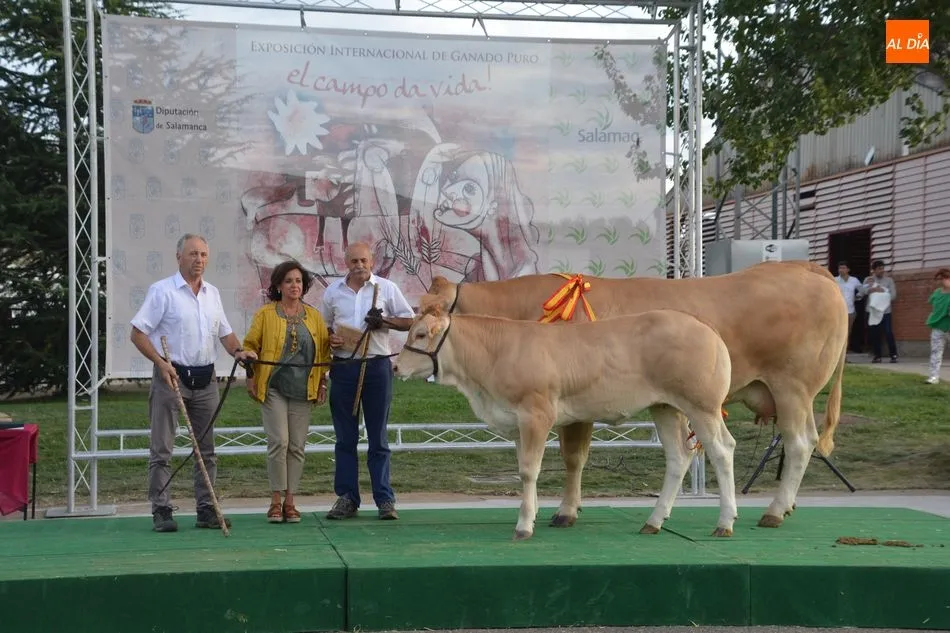 Foto 9 - Entrega de premios de los concursos de las razas Limusina, Charolesa y Blonda de Aquitania&nbsp;