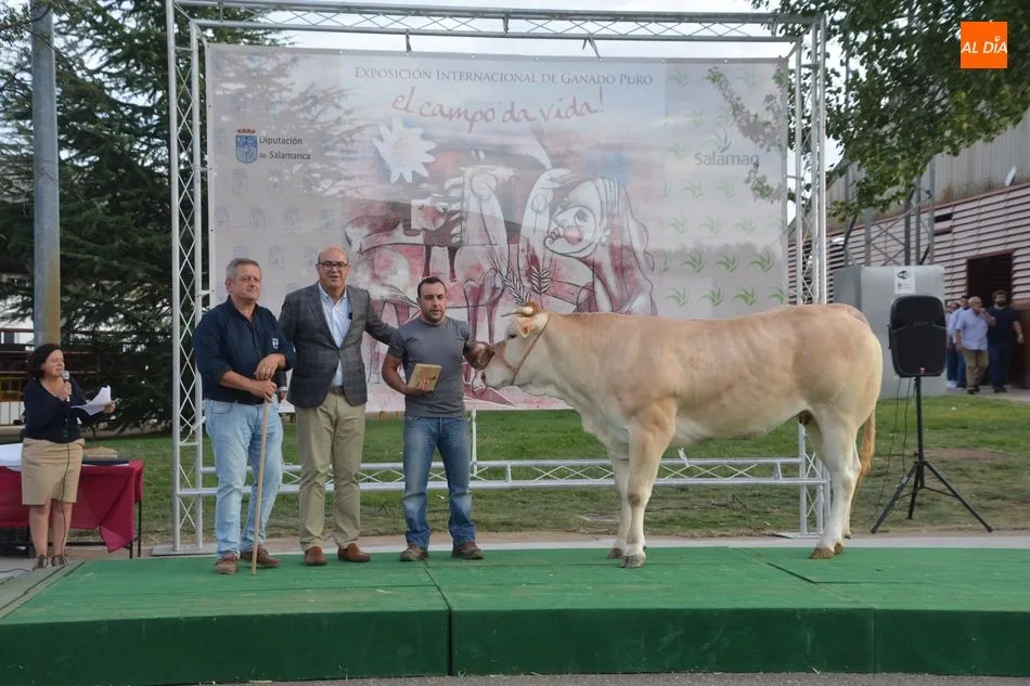 Foto 8 - Entrega de premios de los concursos de las razas Limusina, Charolesa y Blonda de Aquitania&nbsp;