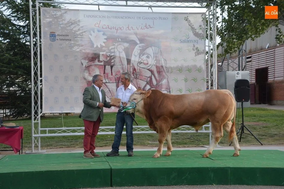 Foto 7 - Entrega de premios de los concursos de las razas Limusina, Charolesa y Blonda de Aquitania&nbsp;