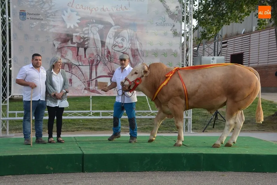 Foto 4 - Entrega de premios de los concursos de las razas Limusina, Charolesa y Blonda de Aquitania&nbsp;