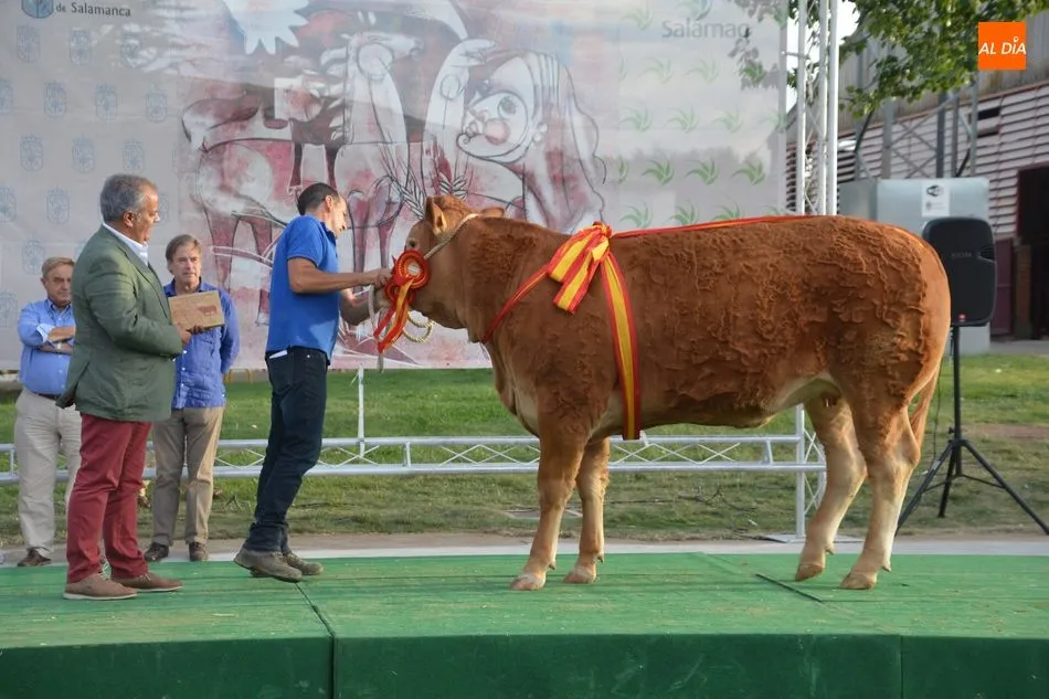 Foto 3 - Entrega de premios de los concursos de las razas Limusina, Charolesa y Blonda de Aquitania&nbsp;