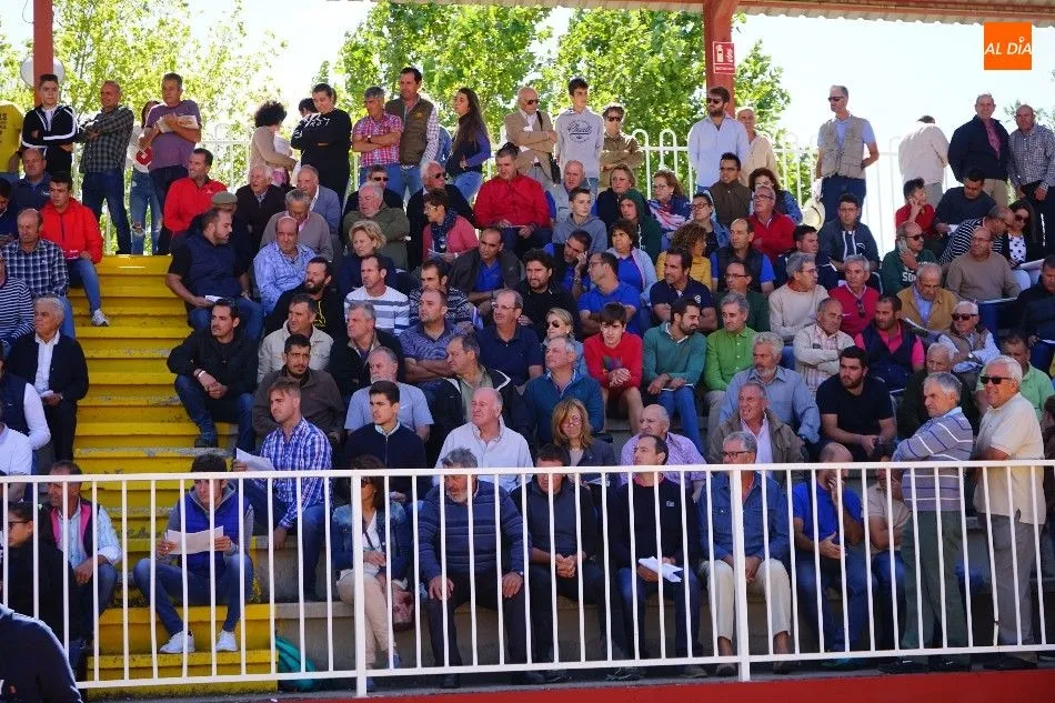 Foto 11 - Pagan 15.000 euros por &lsquo;Nini&rsquo;, el m&aacute;s valioso de la subasta nacional de ganado de Salamanca&nbsp;