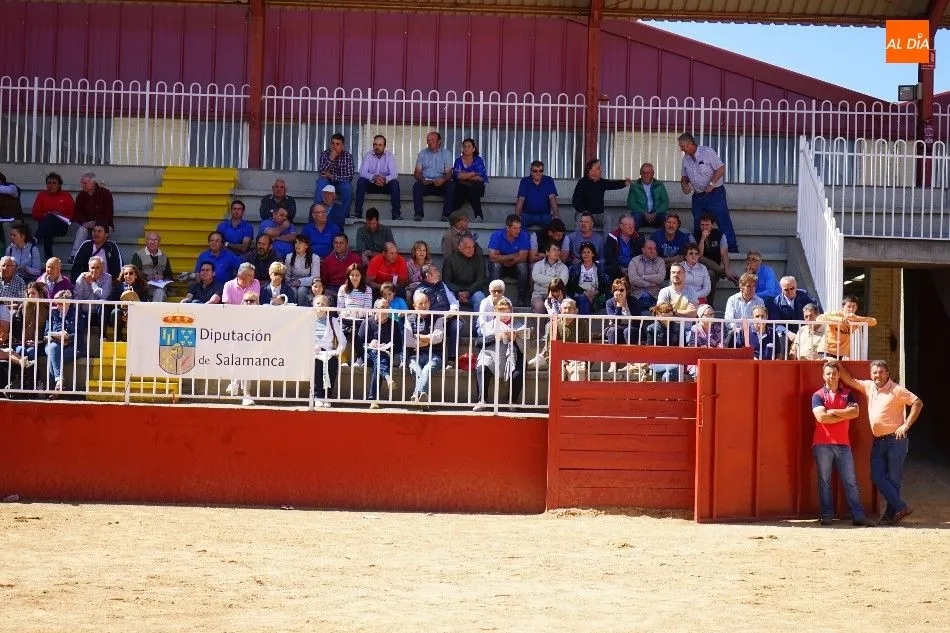 Foto 9 - Pagan 15.000 euros por &lsquo;Nini&rsquo;, el m&aacute;s valioso de la subasta nacional de ganado de Salamanca&nbsp;