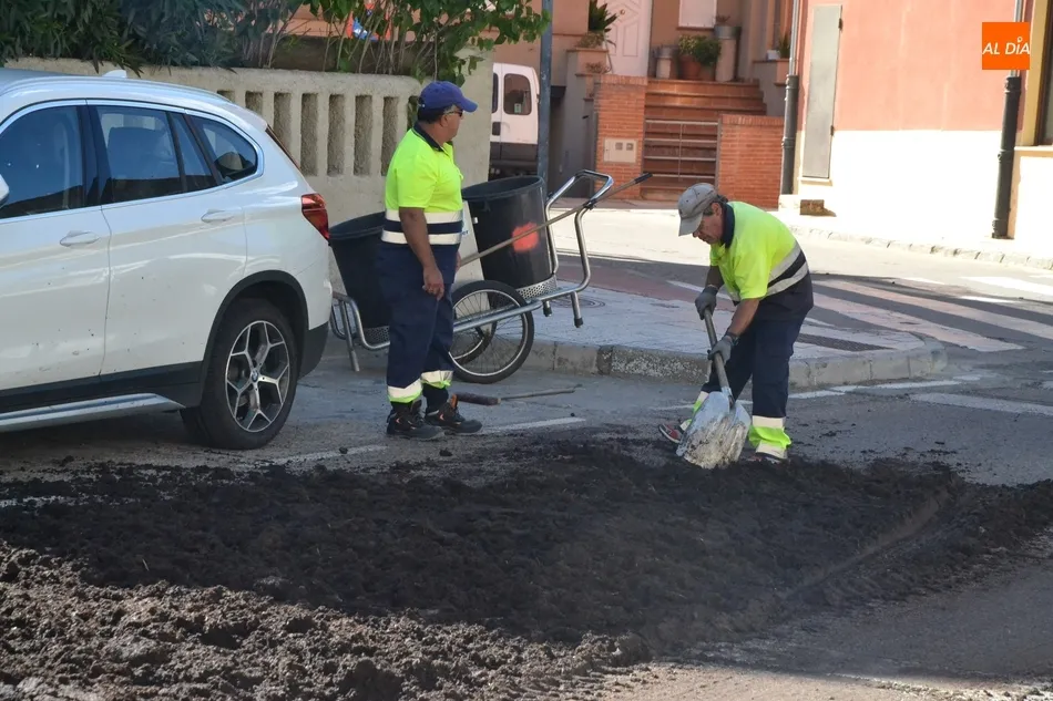 Un camión de estiércol pierde su carga por la Avenida Conde de Foxá  