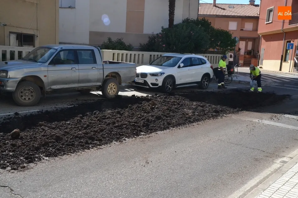 Foto 10 - Un cami&oacute;n de esti&eacute;rcol pierde su carga por la Avenida Conde de Fox&aacute;  