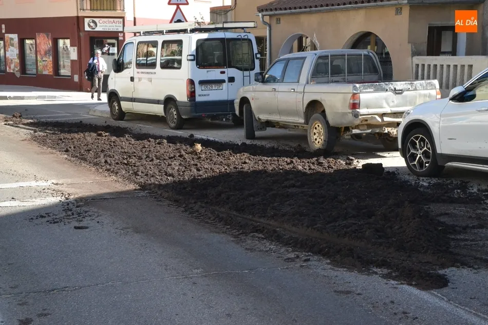 Foto 6 - Un cami&oacute;n de esti&eacute;rcol pierde su carga por la Avenida Conde de Fox&aacute;  