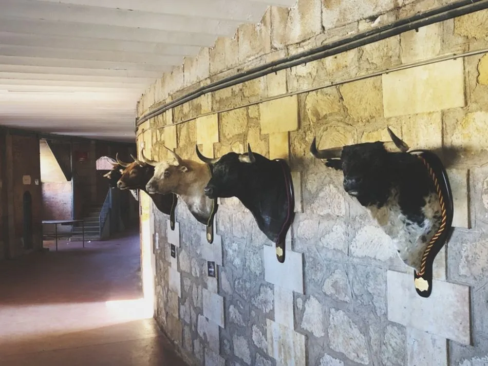 Foto 5 - La Glorieta se convierte en un museo taurino hasta el 21 de septiembre  