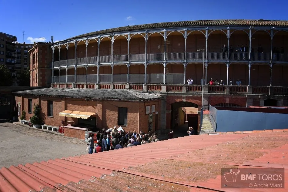 Listos los novillos de Casasola para el primer festejo de abono