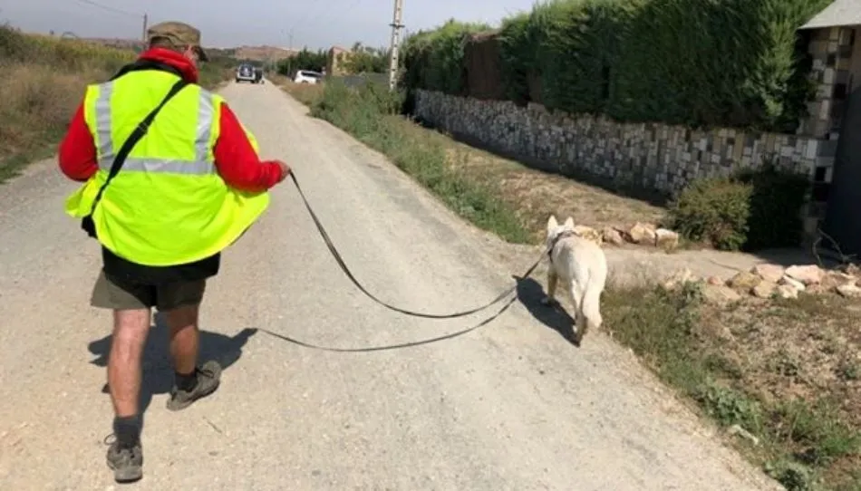 Uno de los integrantes del Club Canino Baucan en las tareas de búsqueda
