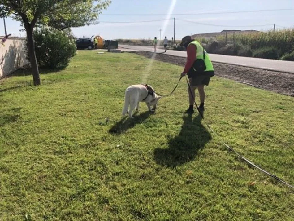 Foto 6 - Militares salmantinos y perros especializados refuerzan la b&uacute;squeda de la desaparecida...