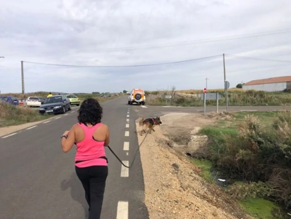Foto 5 - Militares salmantinos y perros especializados refuerzan la b&uacute;squeda de la desaparecida...